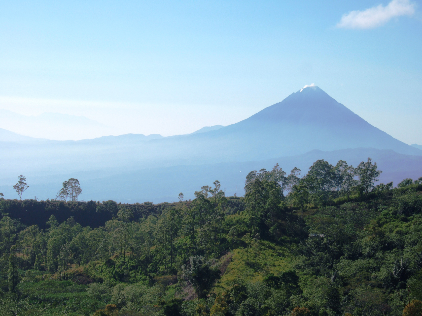 Этнотрип на Флорес и Комодо (30/79)