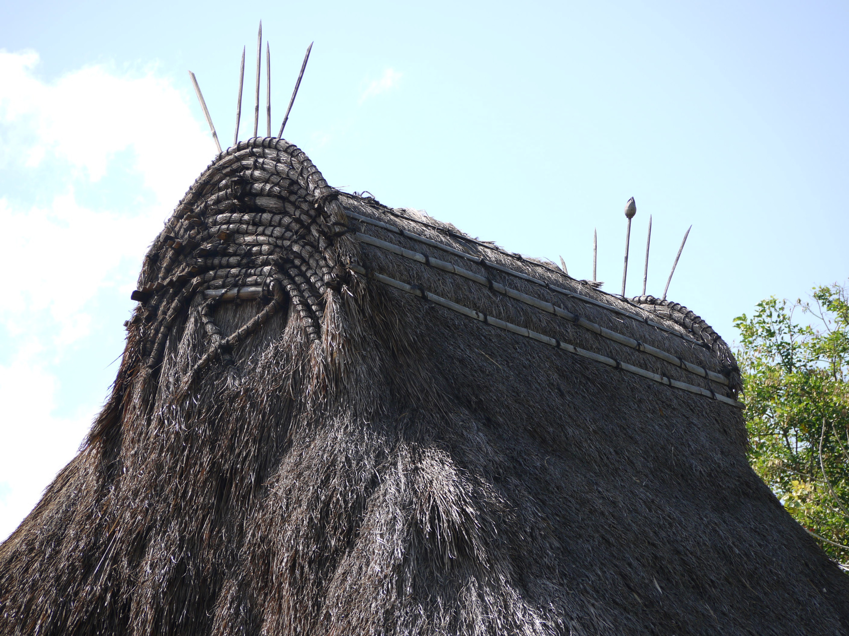 Этнотрип на Флорес и Комодо (46/79)