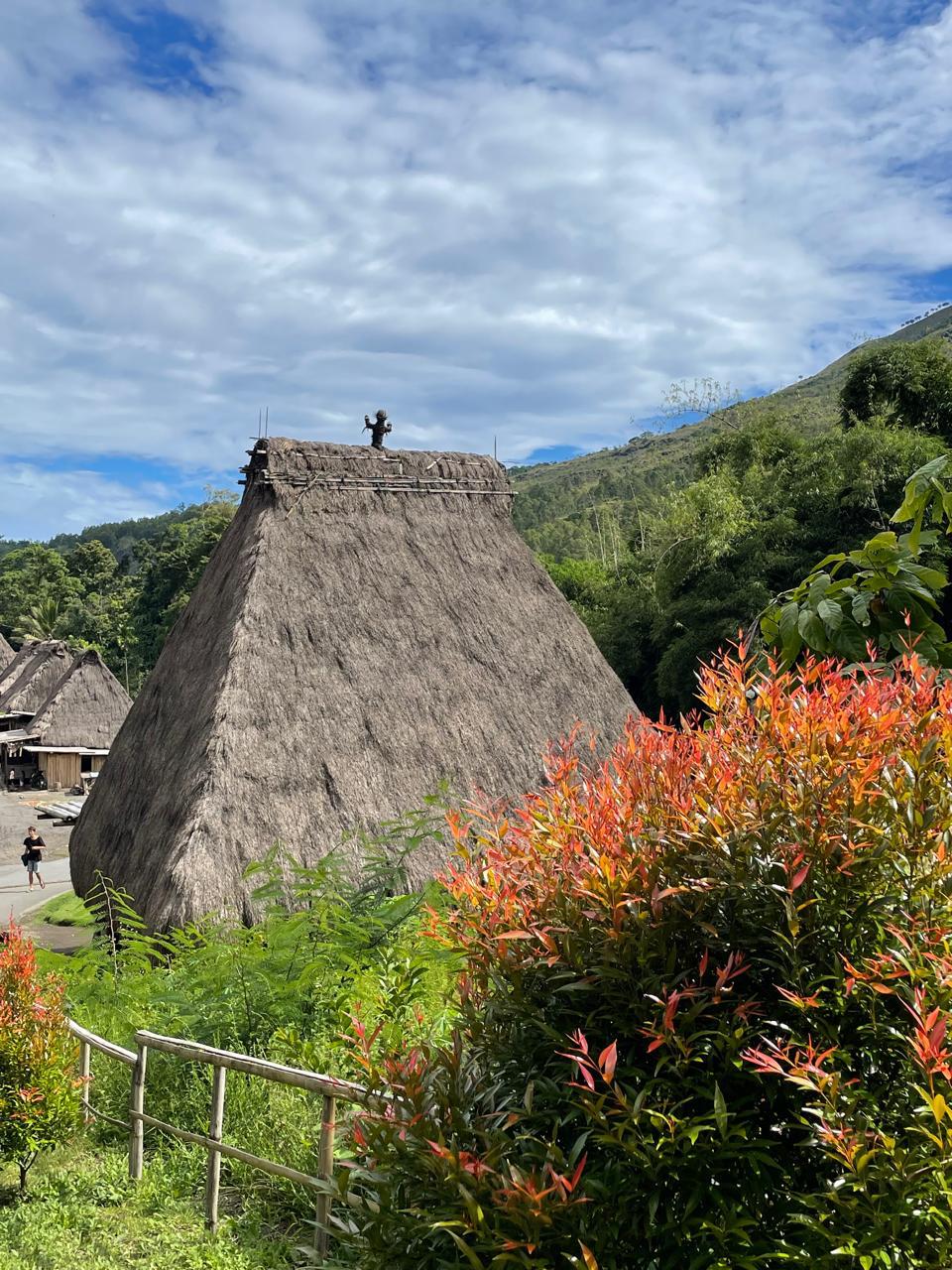 Этнотрип на Флорес и Комодо (28/79)