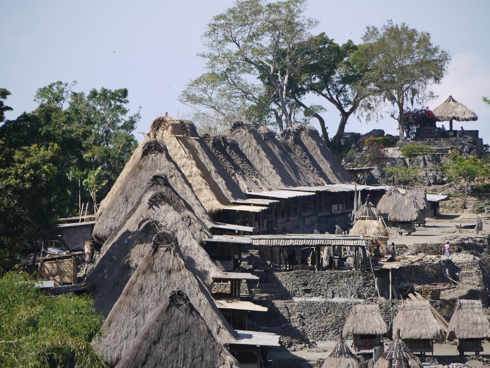 Этнотрип на Флорес и Комодо (38/79)