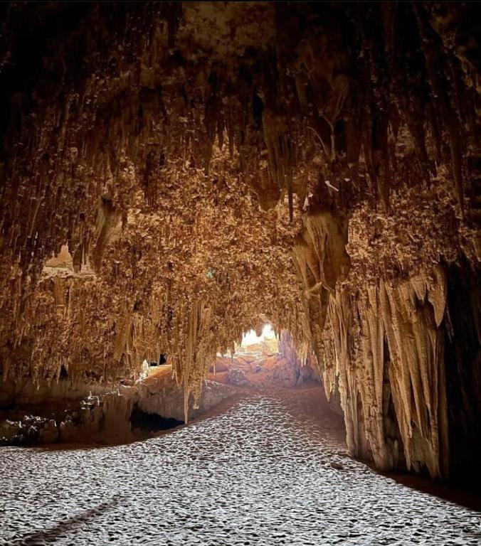 Пески вечности: покорите бело-черную пустыню Египта (8/23)