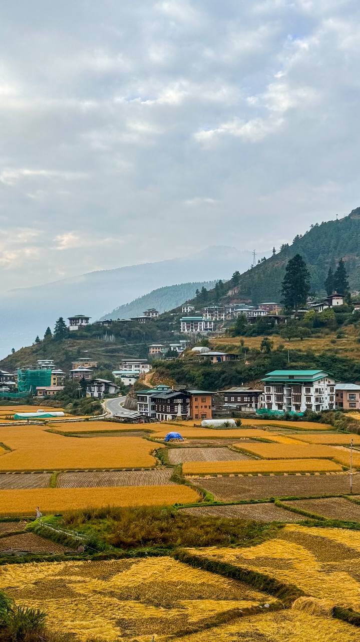 Королевство Бутан. Эксклюзивная программа (22/60)