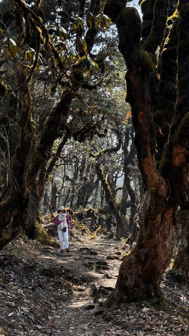 Королевство Бутан. Эксклюзивная программа (23/60)