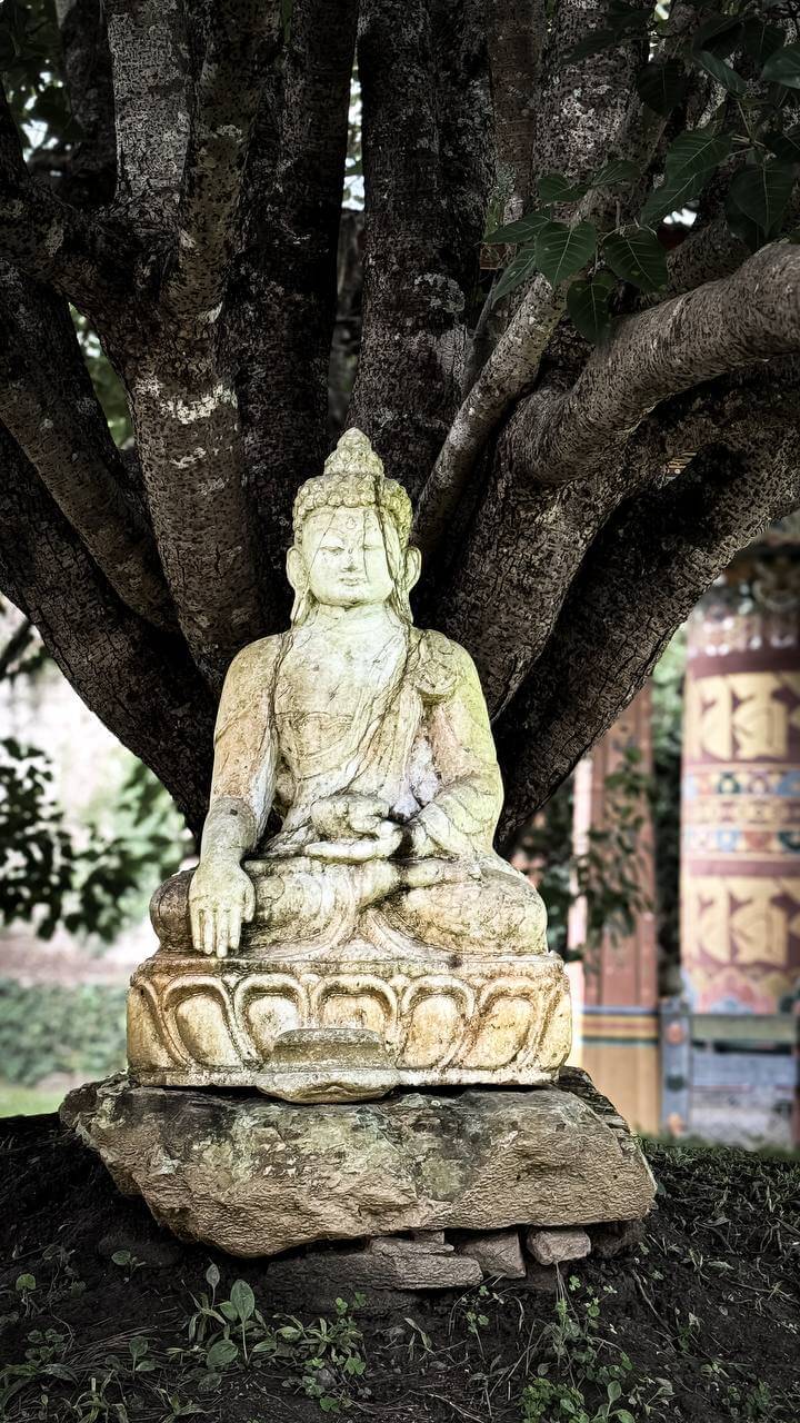 Королевство Бутан. Эксклюзивная программа (18/60)