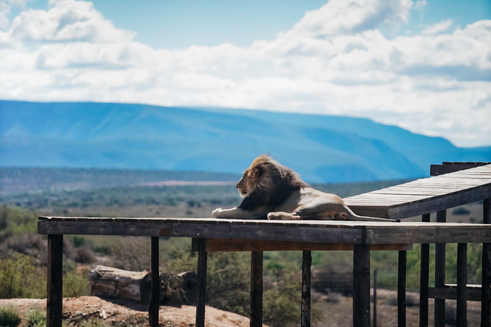 Полетели на край Света! Уникальный тур в самые красивые места Юар! (3/56)