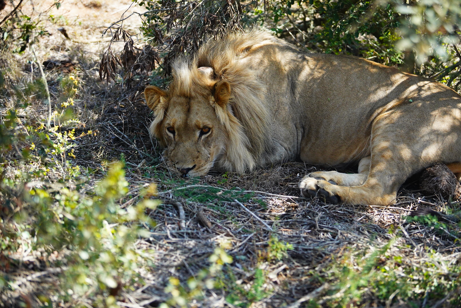 Полетели на край Света! Уникальный тур в самые красивые места Юар! (13/56)