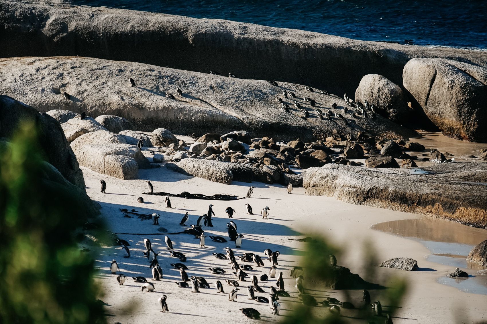 Полетели на край Света! Уникальный тур в самые красивые места Юар! (9/56)