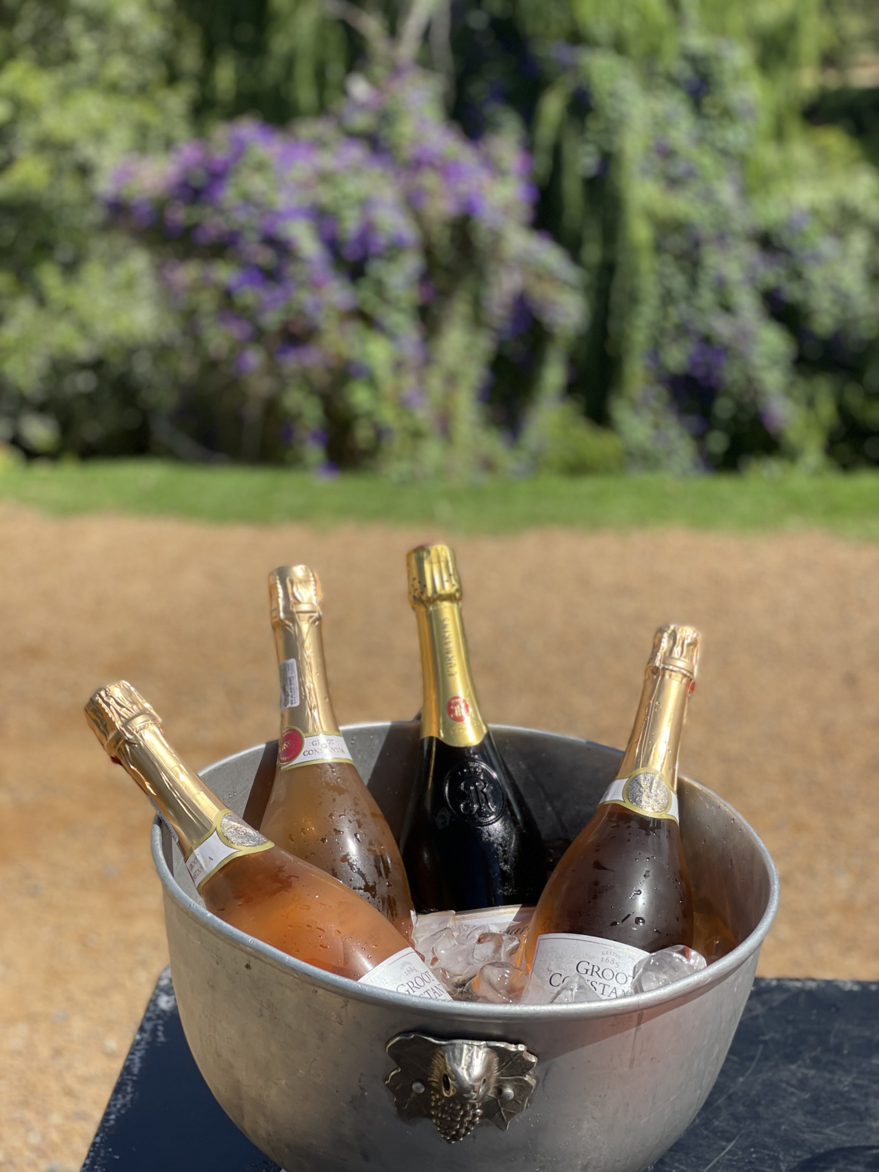 Полетели на край Света! Уникальный тур в самые красивые места Юар! (32/56)