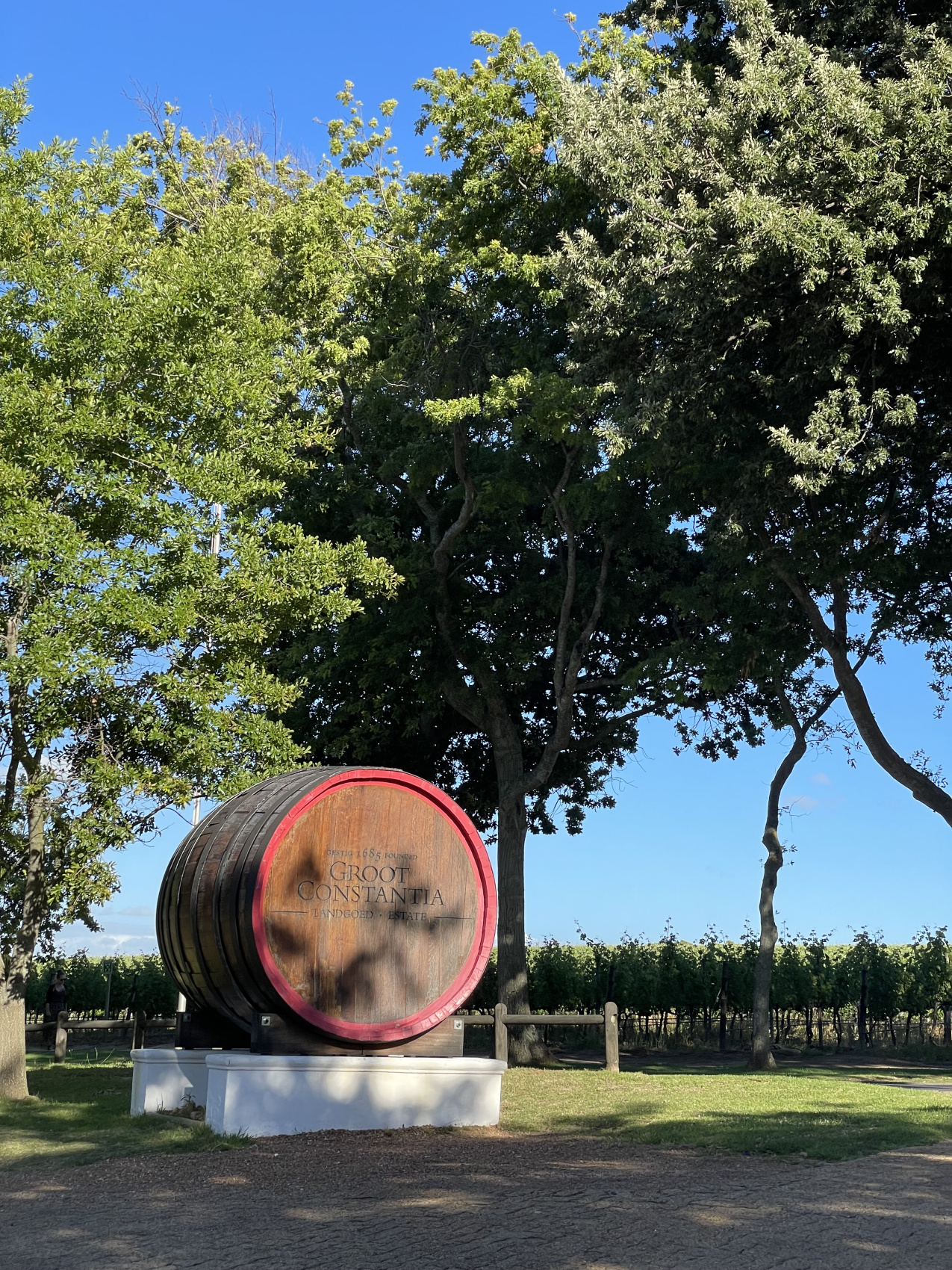 Полетели на край Света! Уникальный тур в самые красивые места Юар! (33/56)