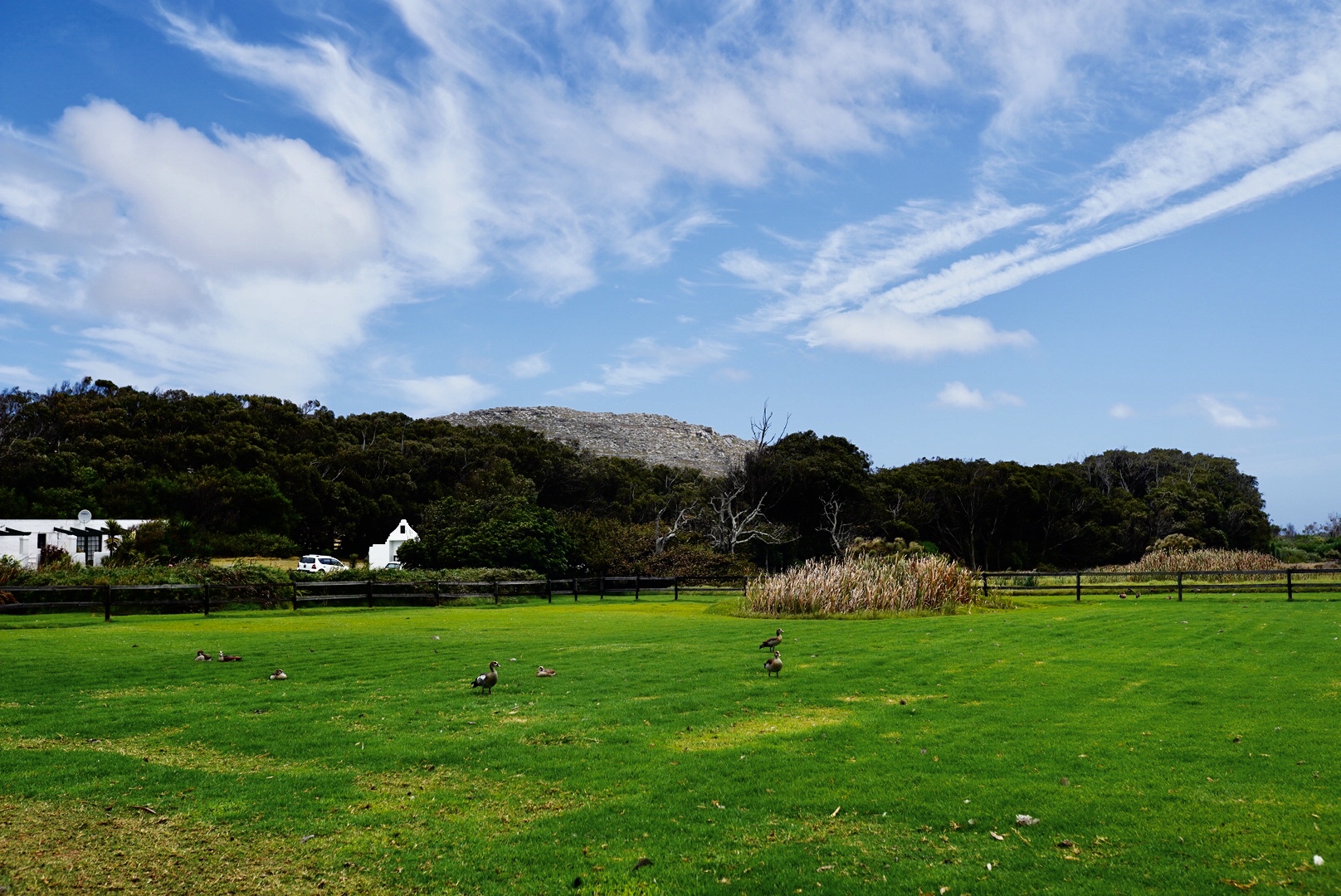 Полетели на край Света! Уникальный тур в самые красивые места Юар! (24/56)