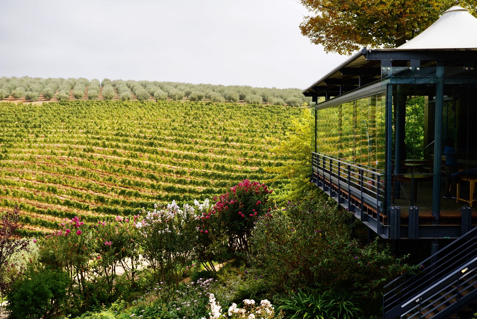 Полетели на край Света! Уникальный тур в самые красивые места Юар! (26/56)