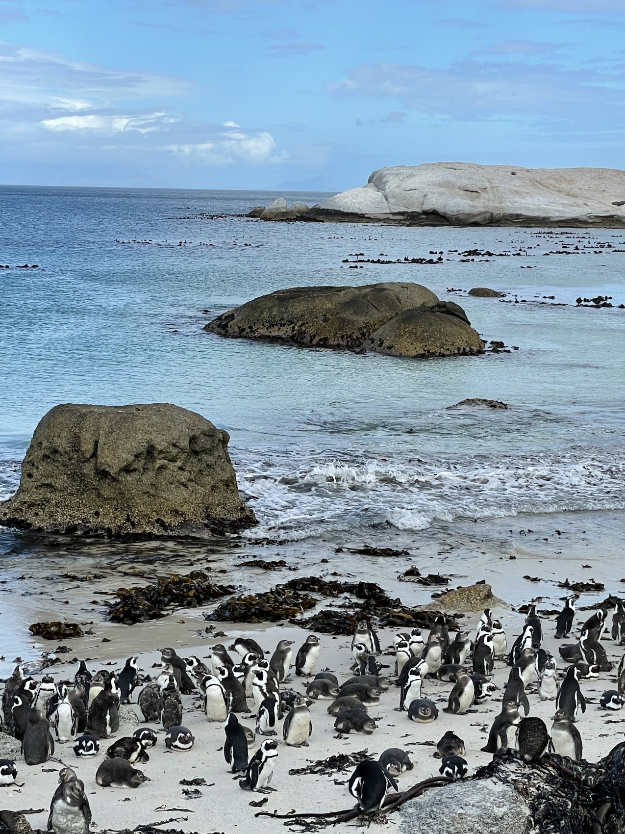 Полетели на край Света! Уникальный тур в самые красивые места Юар! (17/56)