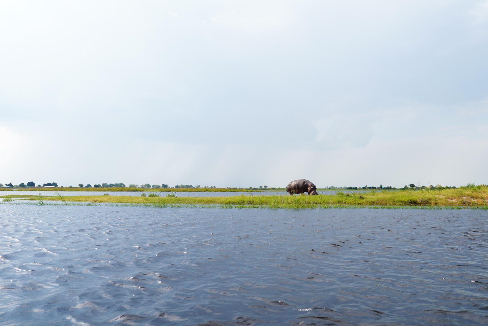 Полетели на край Света! Уникальный тур в самые красивые места Юар! (31/56)