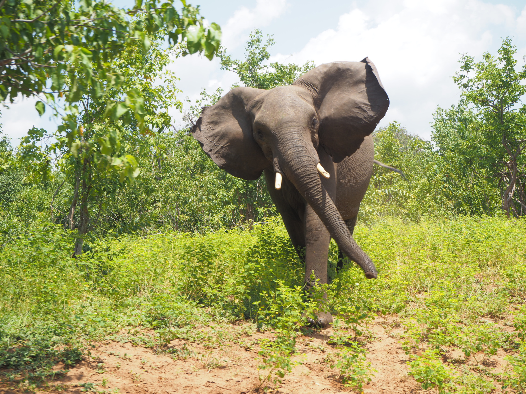 Полетели на край Света! Уникальный тур в самые красивые места Юар! (34/56)