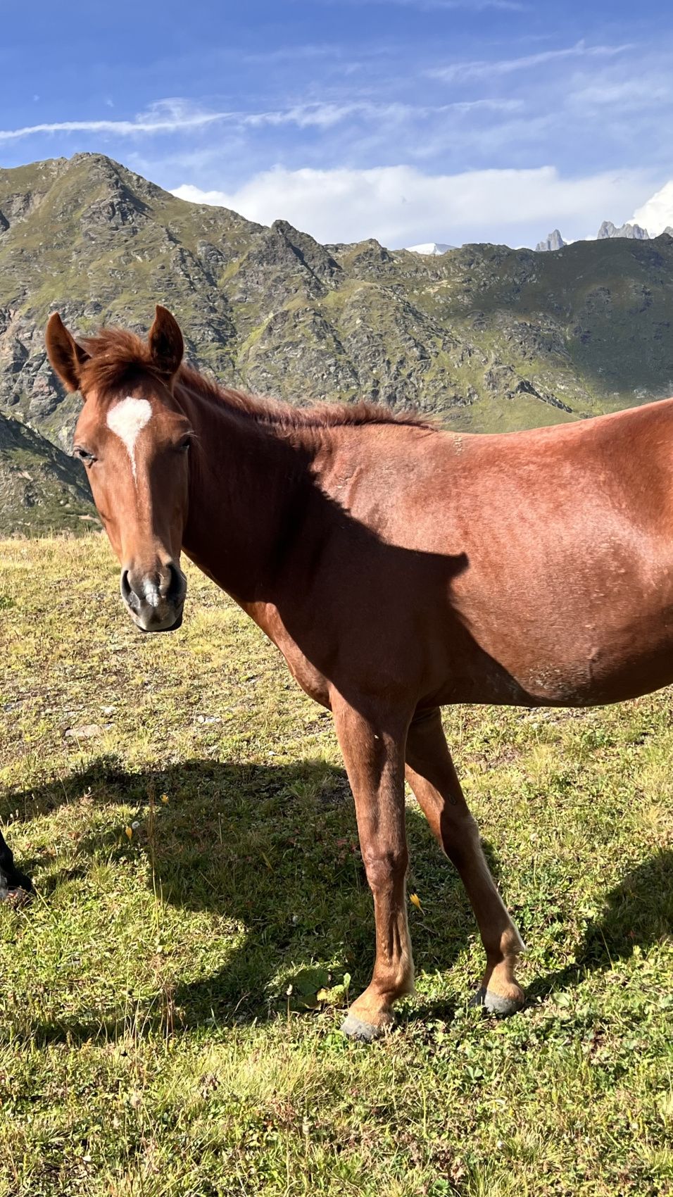 Рача и Сванети- два самых живописных региона Грузии в одном туре. (28/52)