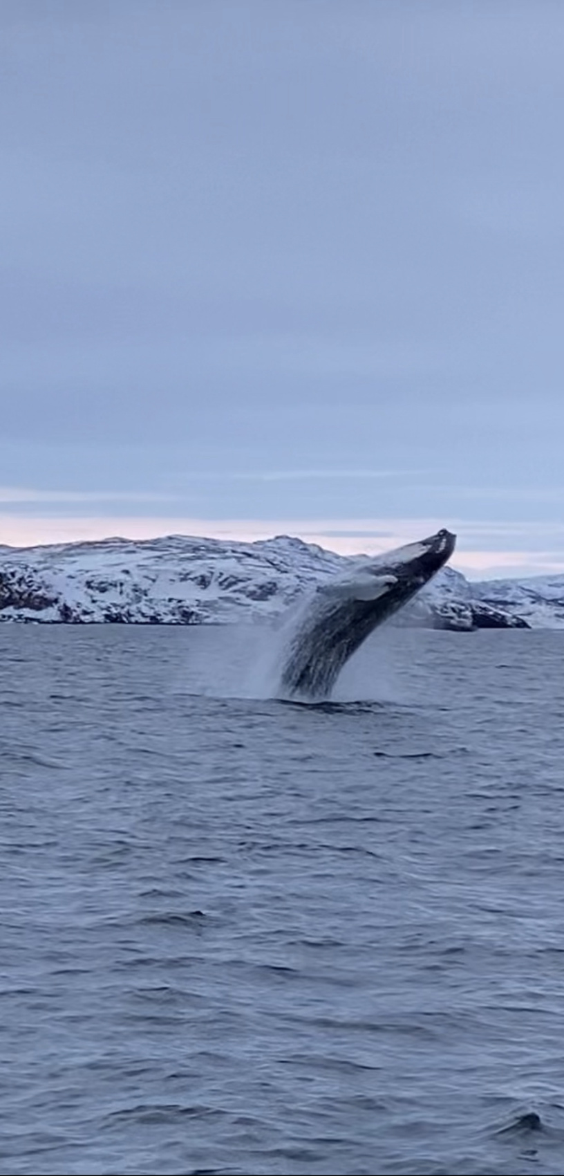 Молодежная Териберка в небольшой группе (3/47)