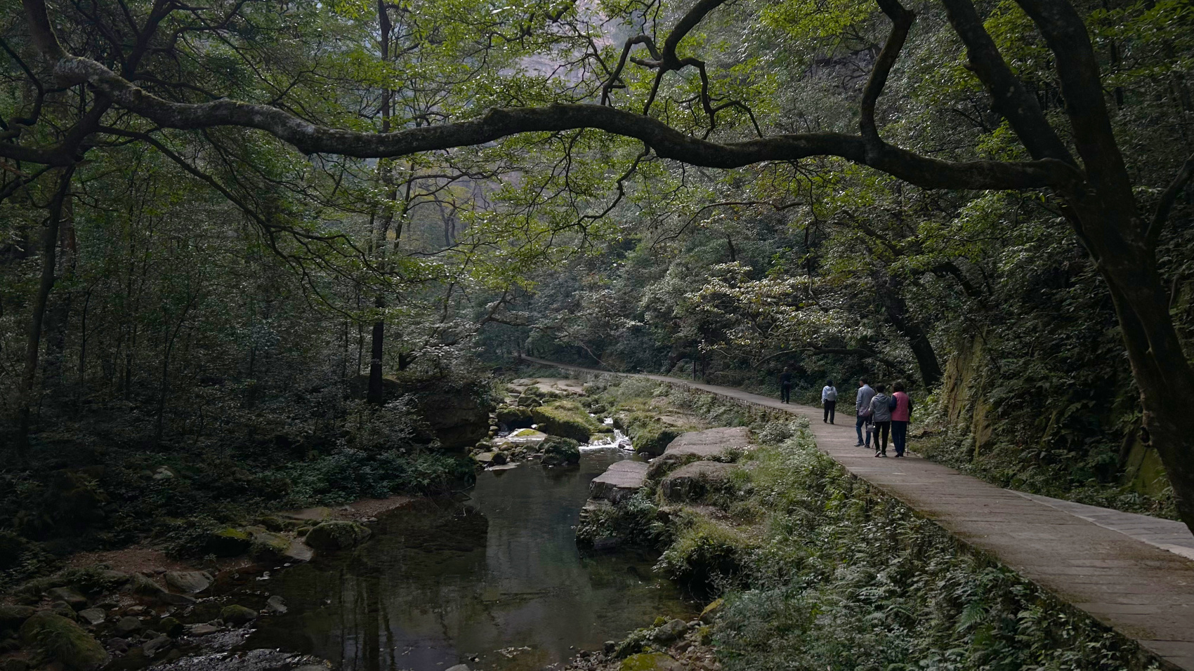 Китай. Цветение Сакуры и национальные парки. Мудрость Веков. (14/60)