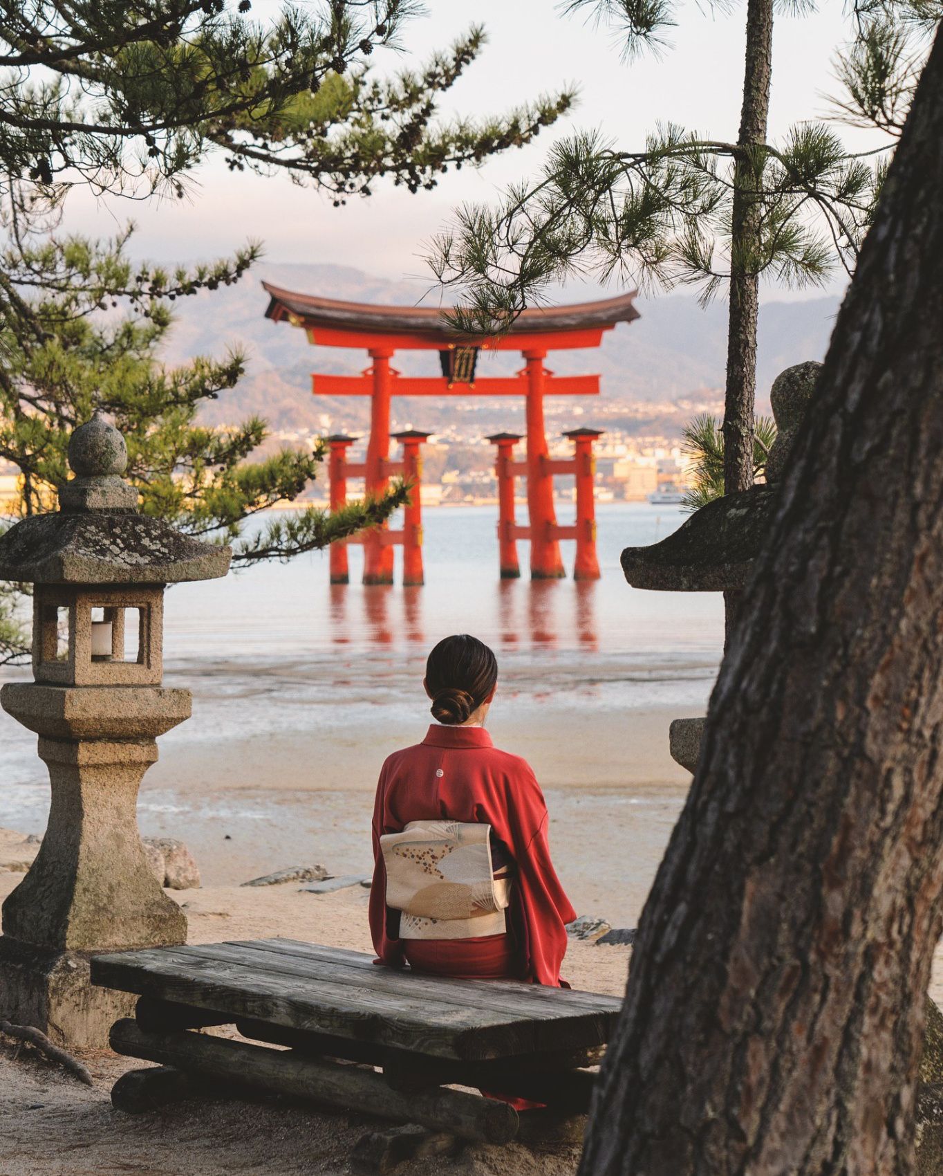 Цветение Кленов В Японии! (4/34)