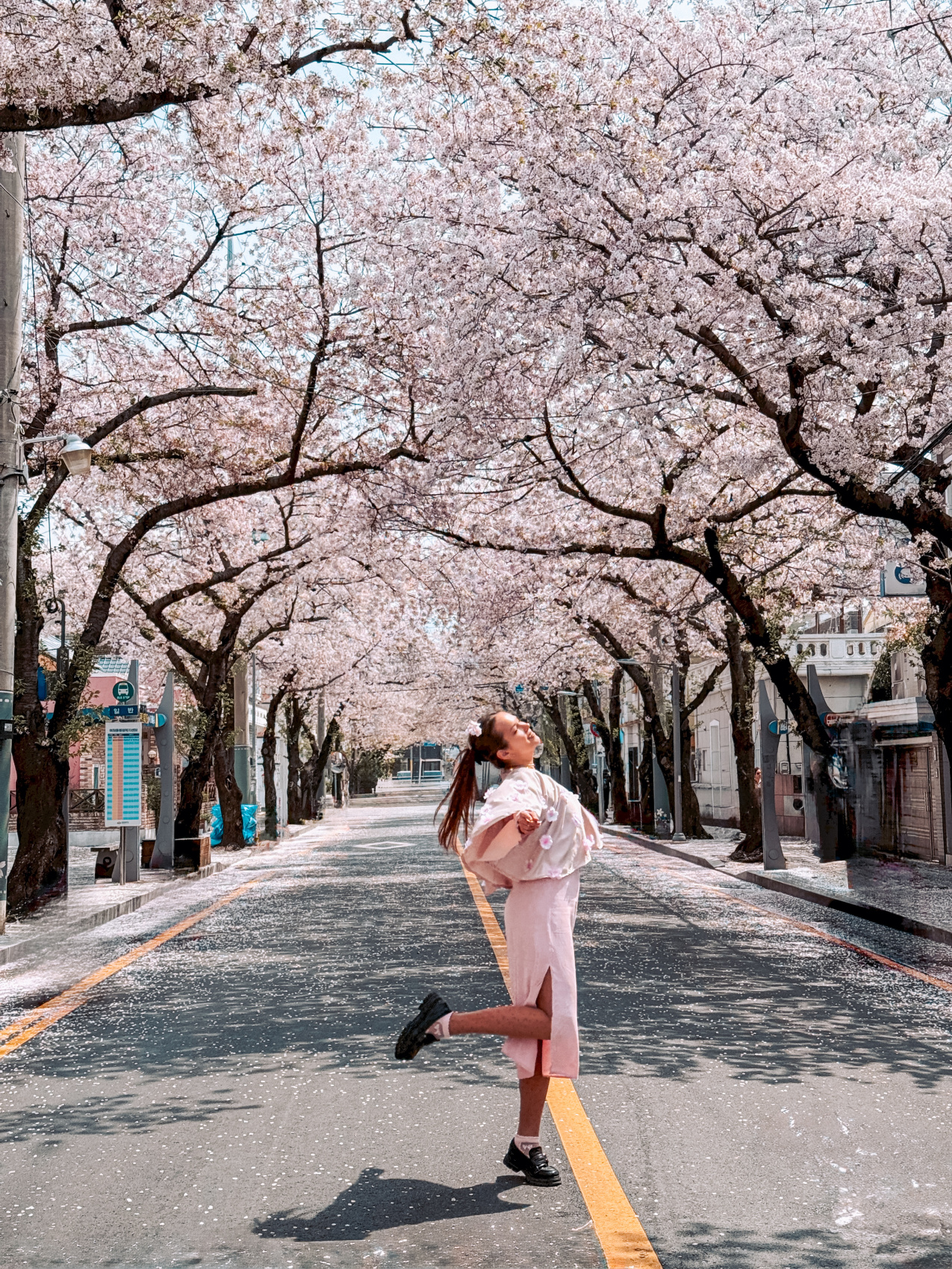 Цветение сакуры в Корее. Сеул+Пусан (27/94)