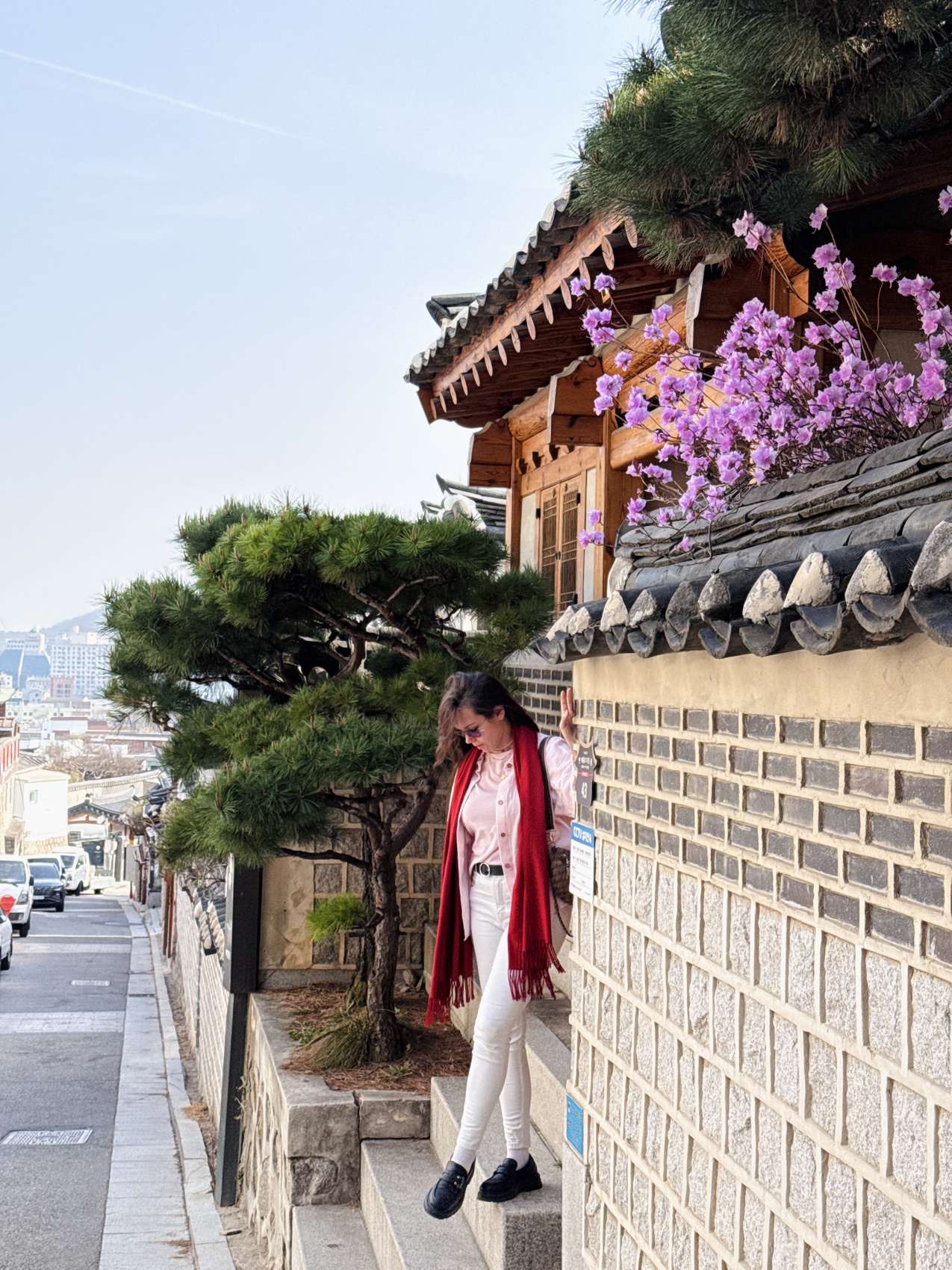 Цветение сакуры в Корее. Сеул+Пусан (10/94)