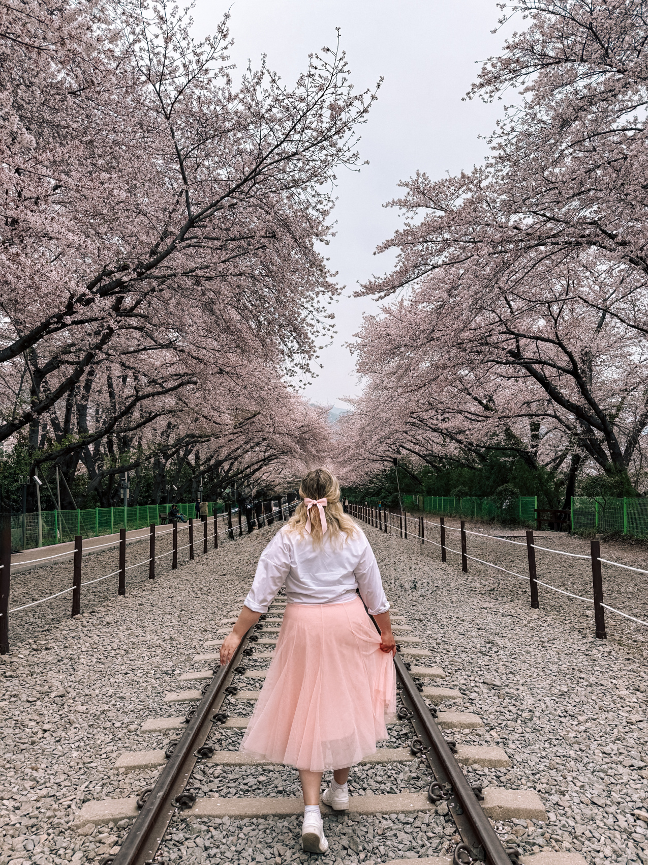 Цветение сакуры в Корее. Сеул+Пусан (34/94)