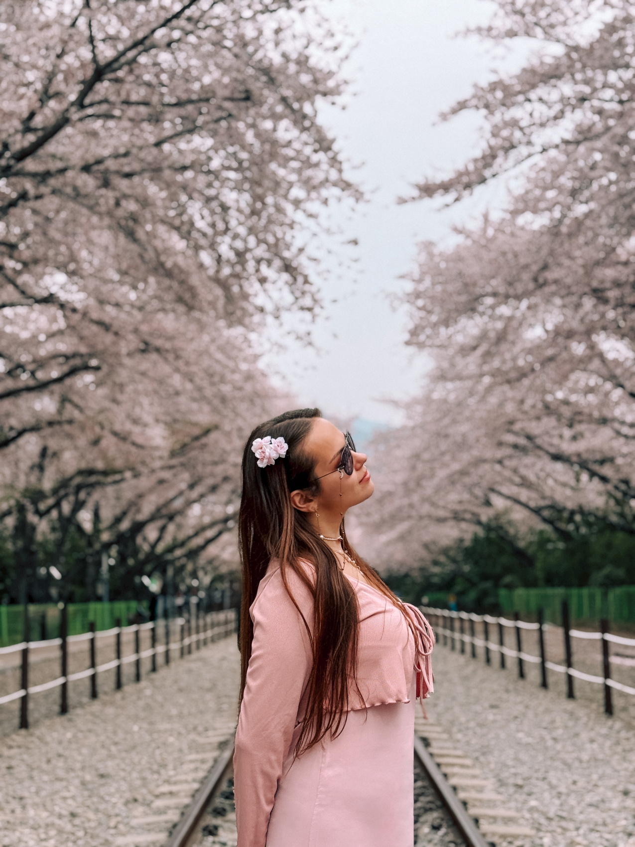 Цветение сакуры в Корее. Сеул+Пусан (32/94)