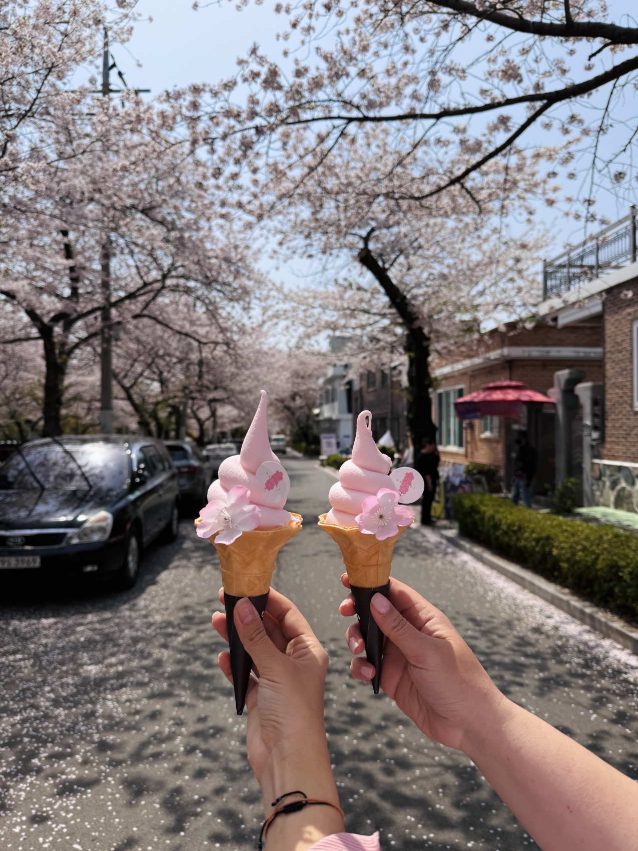 Цветение сакуры в Корее. Сеул+Пусан (26/94)