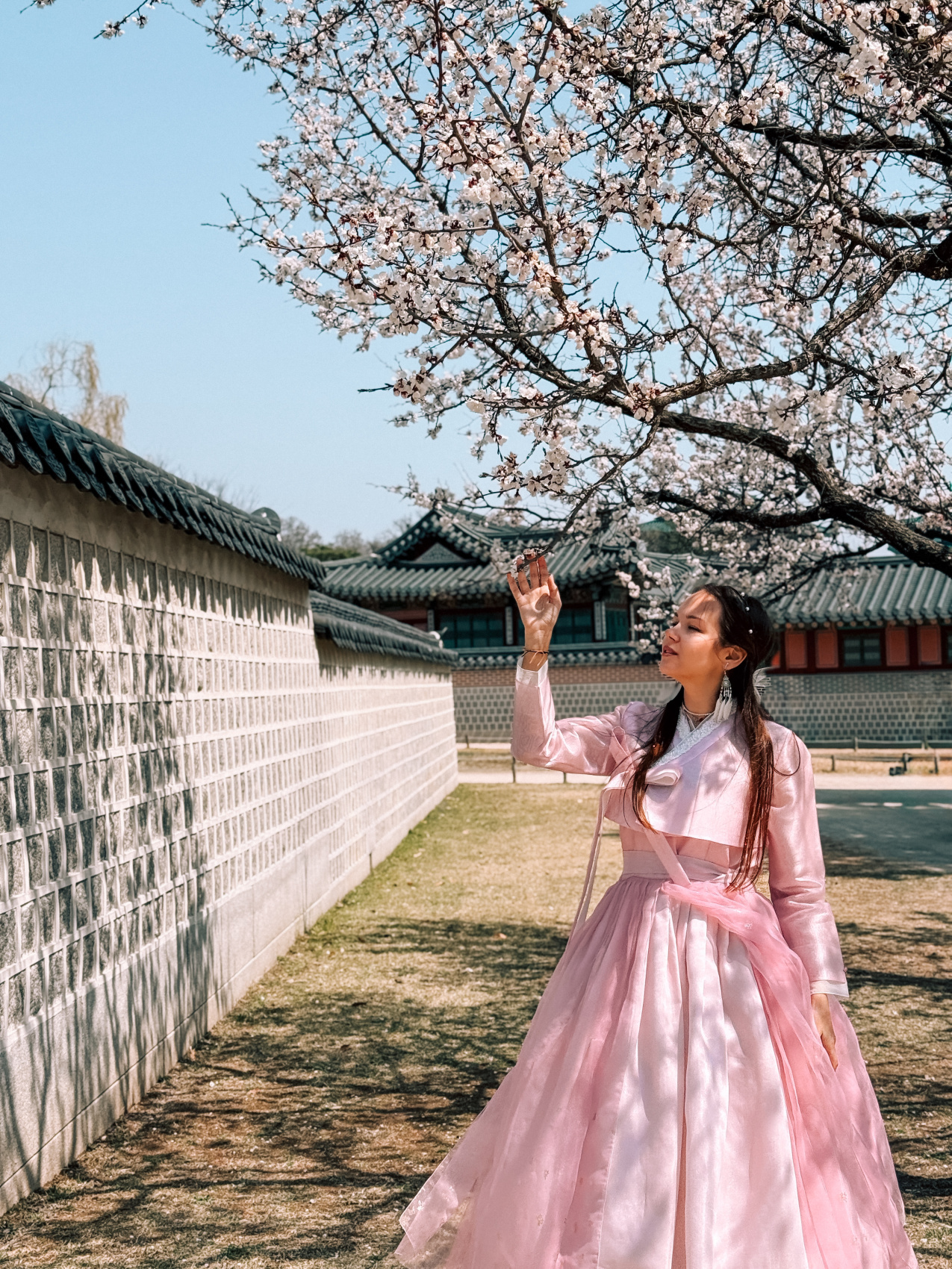 Цветение сакуры в Корее. Сеул+Пусан (16/94)