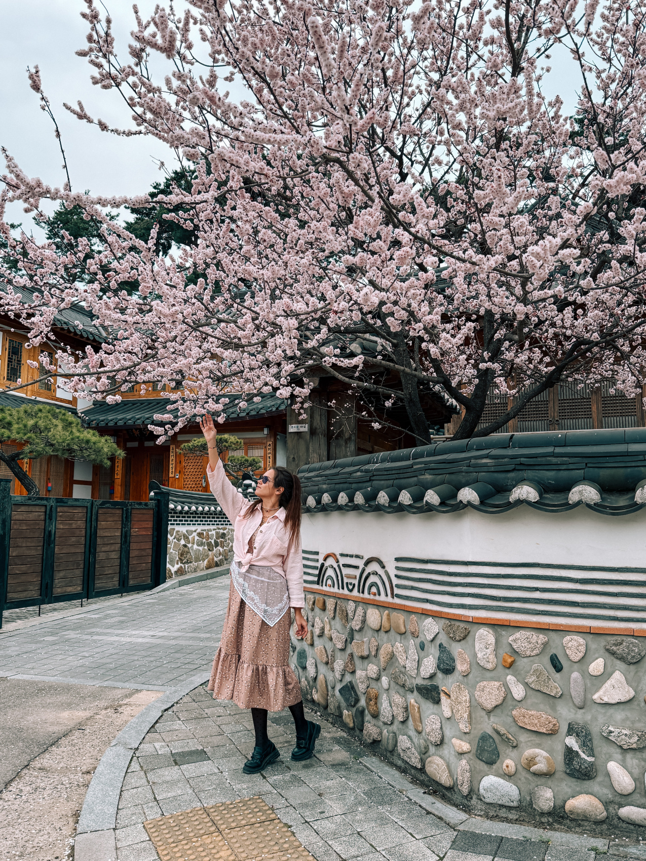 Цветение сакуры в Корее. Сеул+Пусан (39/94)