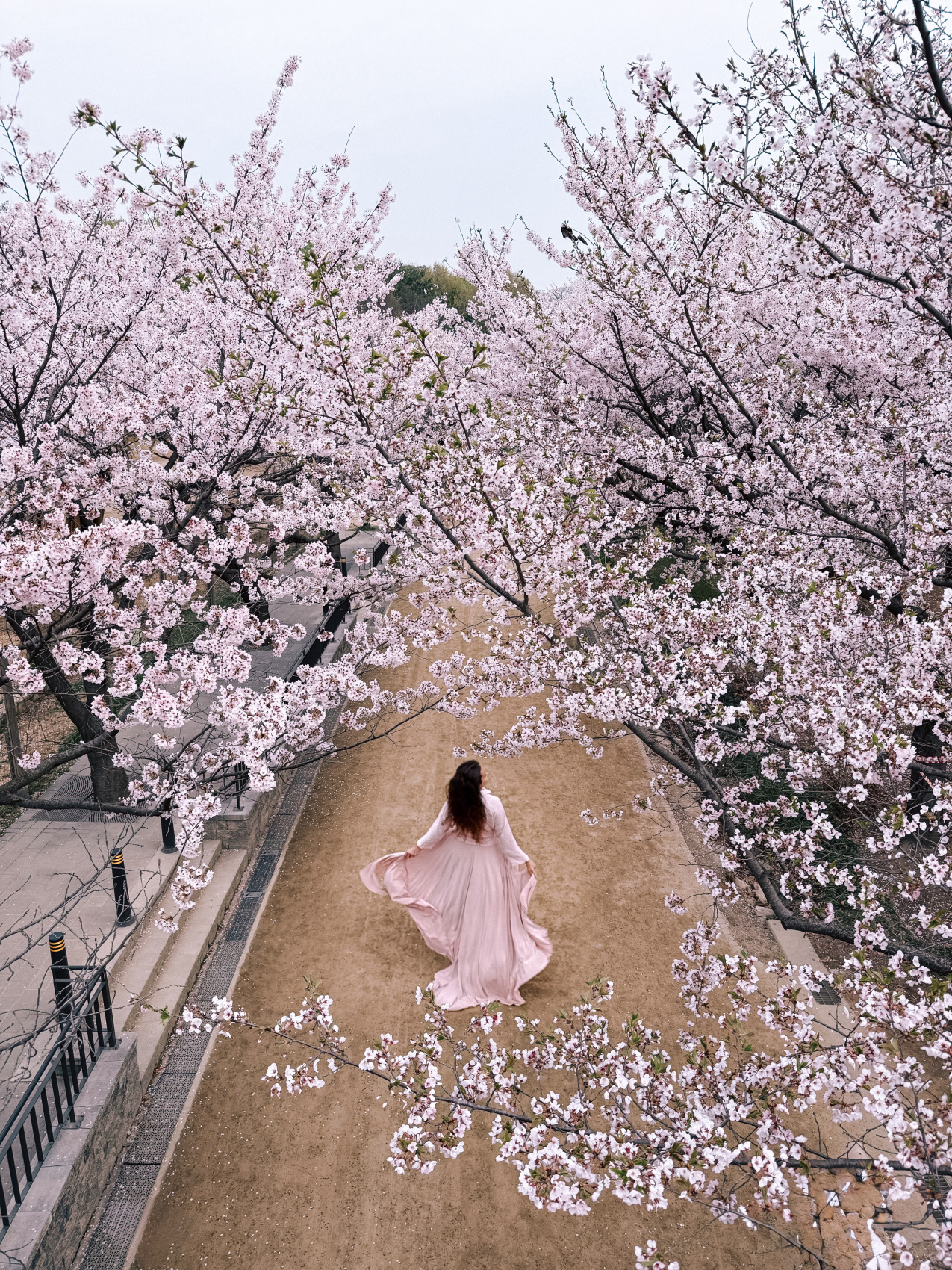 Цветение сакуры в Корее. Сеул+Пусан (40/94)