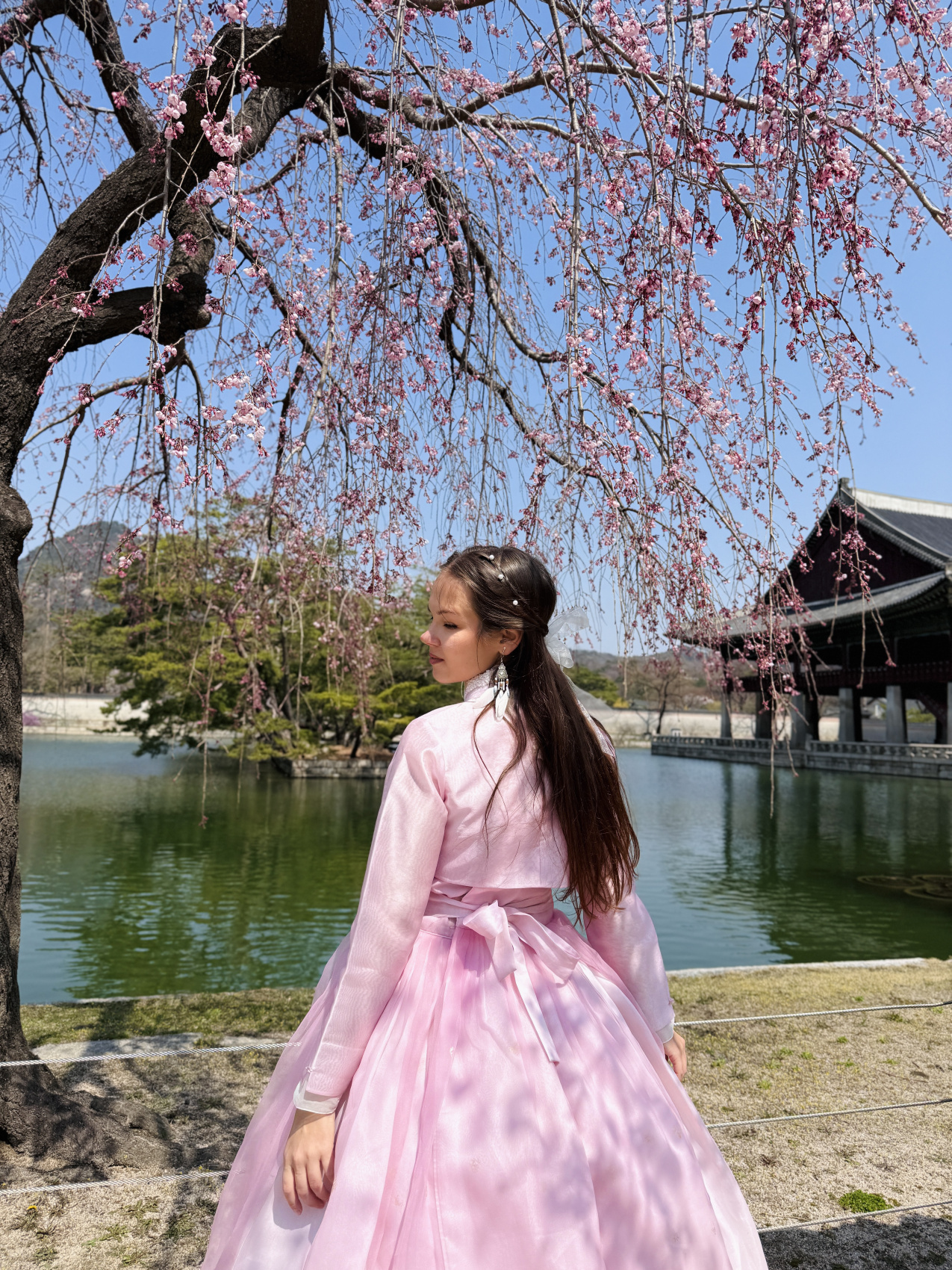 Цветение сакуры в Корее. Сеул+Пусан (15/94)