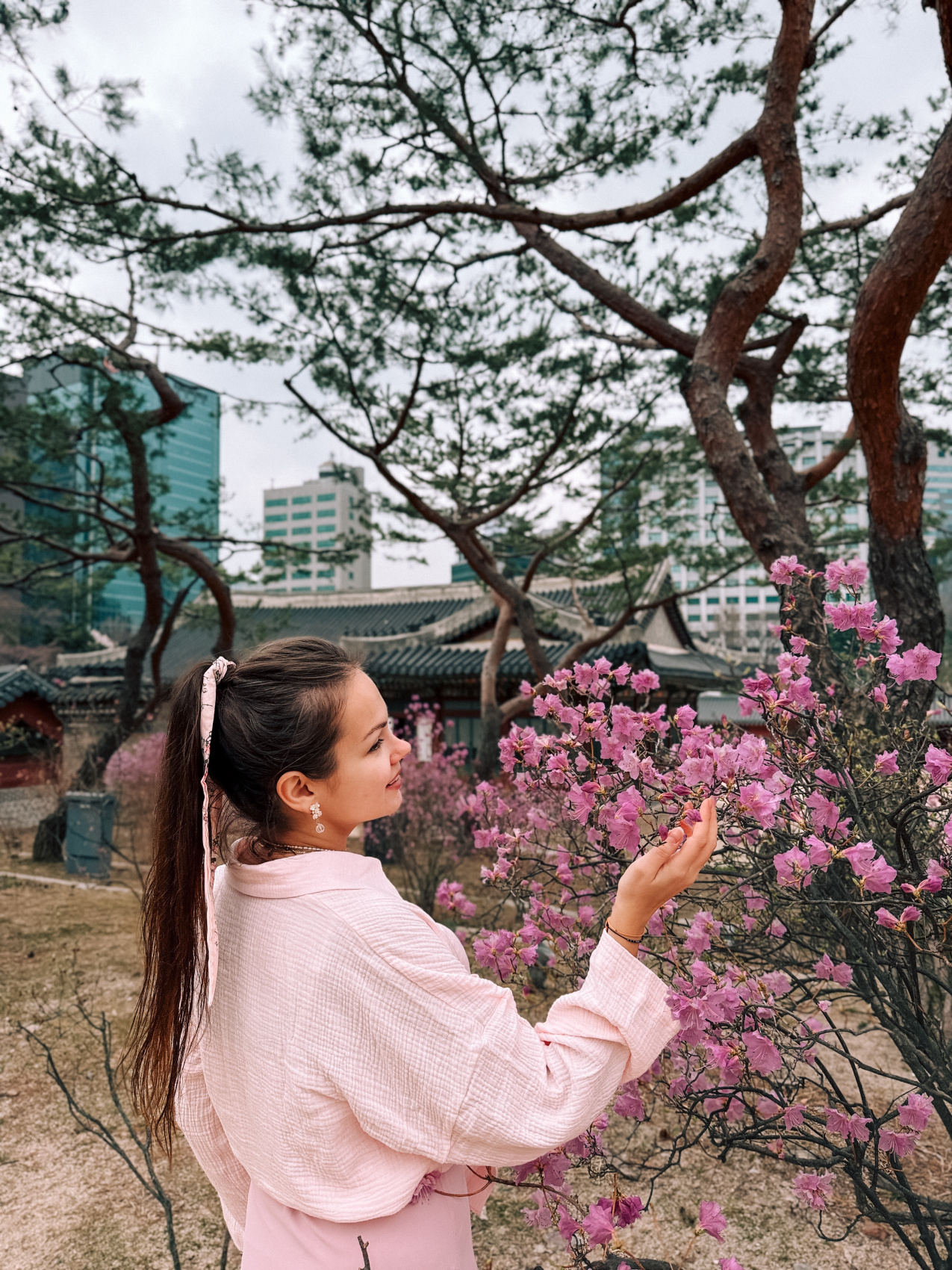 Цветение сакуры в Корее. Сеул+Пусан (14/94)