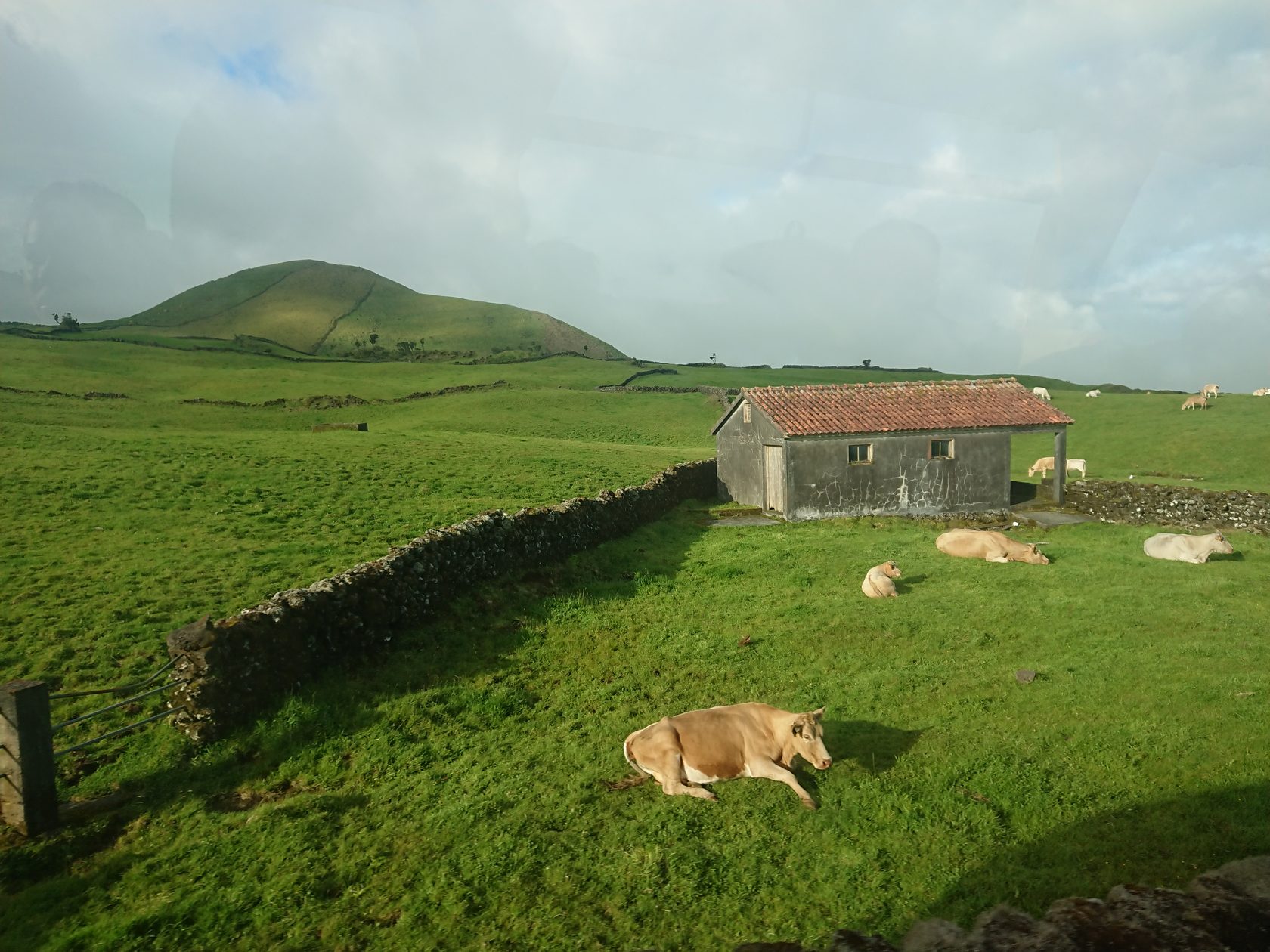 Азоры. Экспедиция в эпоху Юрского периода (13/35)