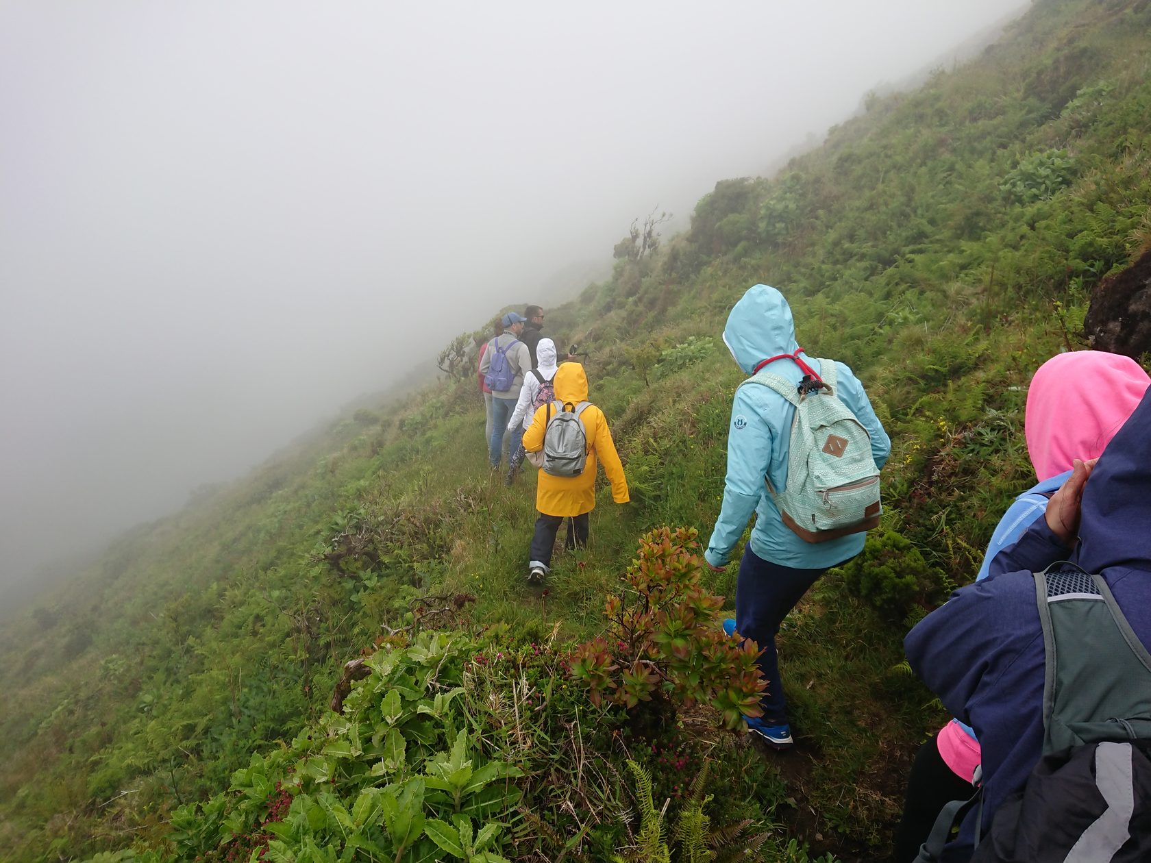 Азоры. Экспедиция в эпоху Юрского периода (7/35)
