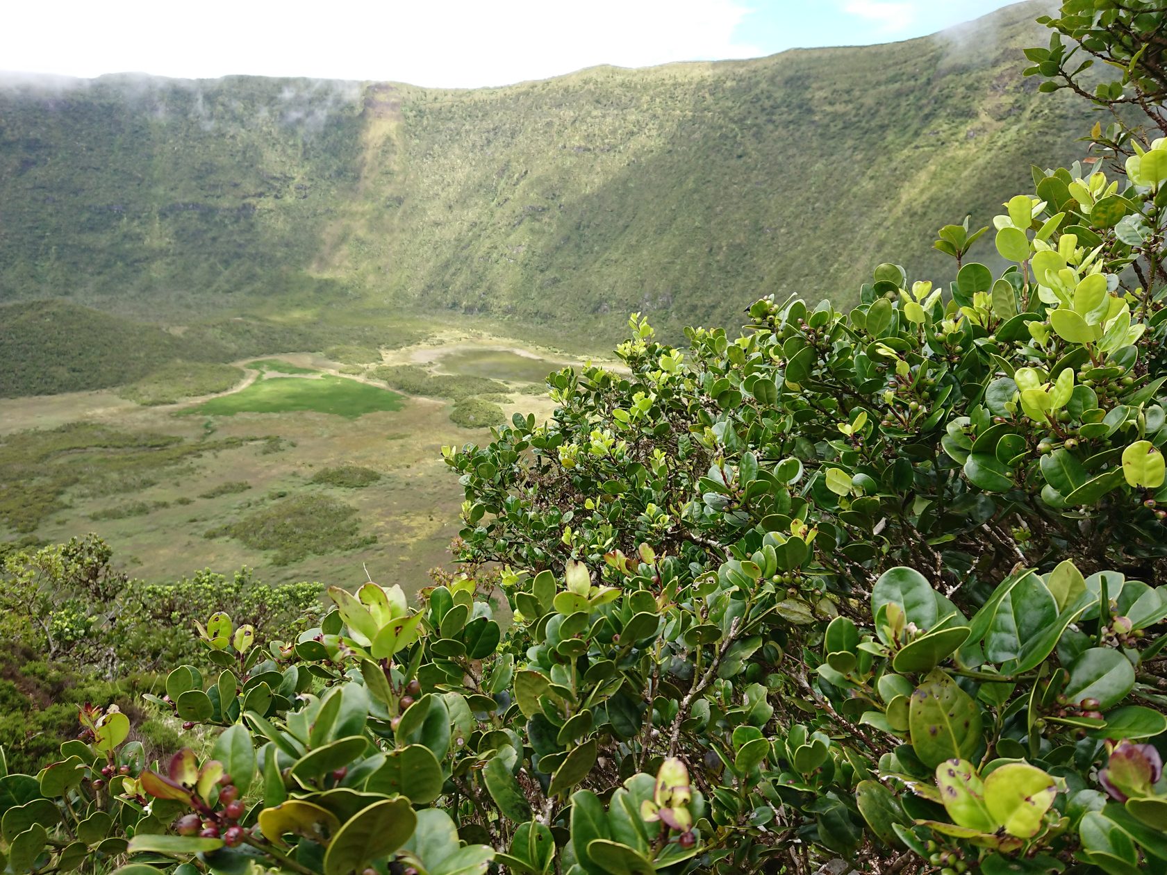 Азоры. Экспедиция в эпоху Юрского периода (8/35)