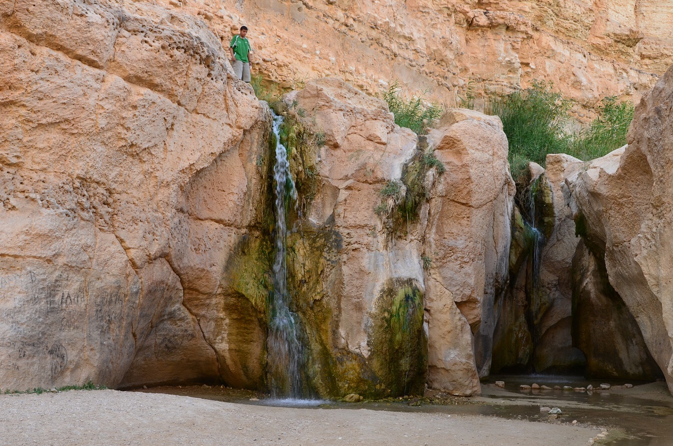 Тунис: к римским развалинам, в горные оазисы берберов и по следам Звездных войн (7/18)