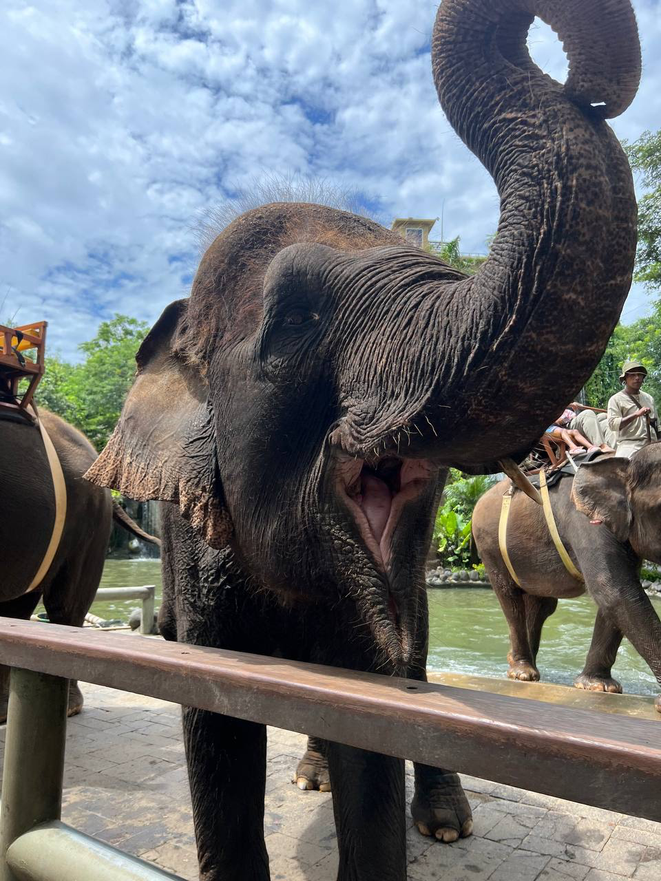 Бали, который вы ждёте! (42/89)