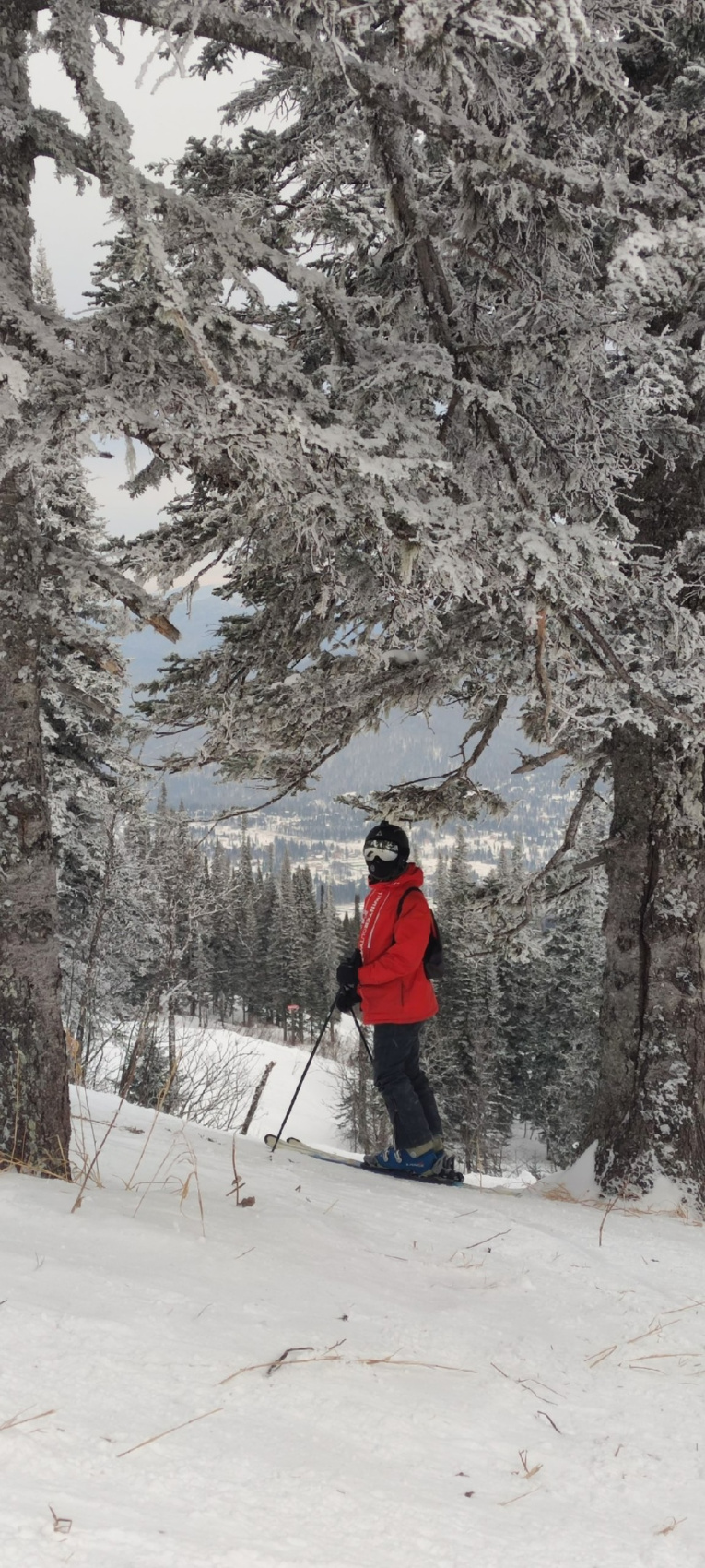 Яркий Шерегеш (15/48)