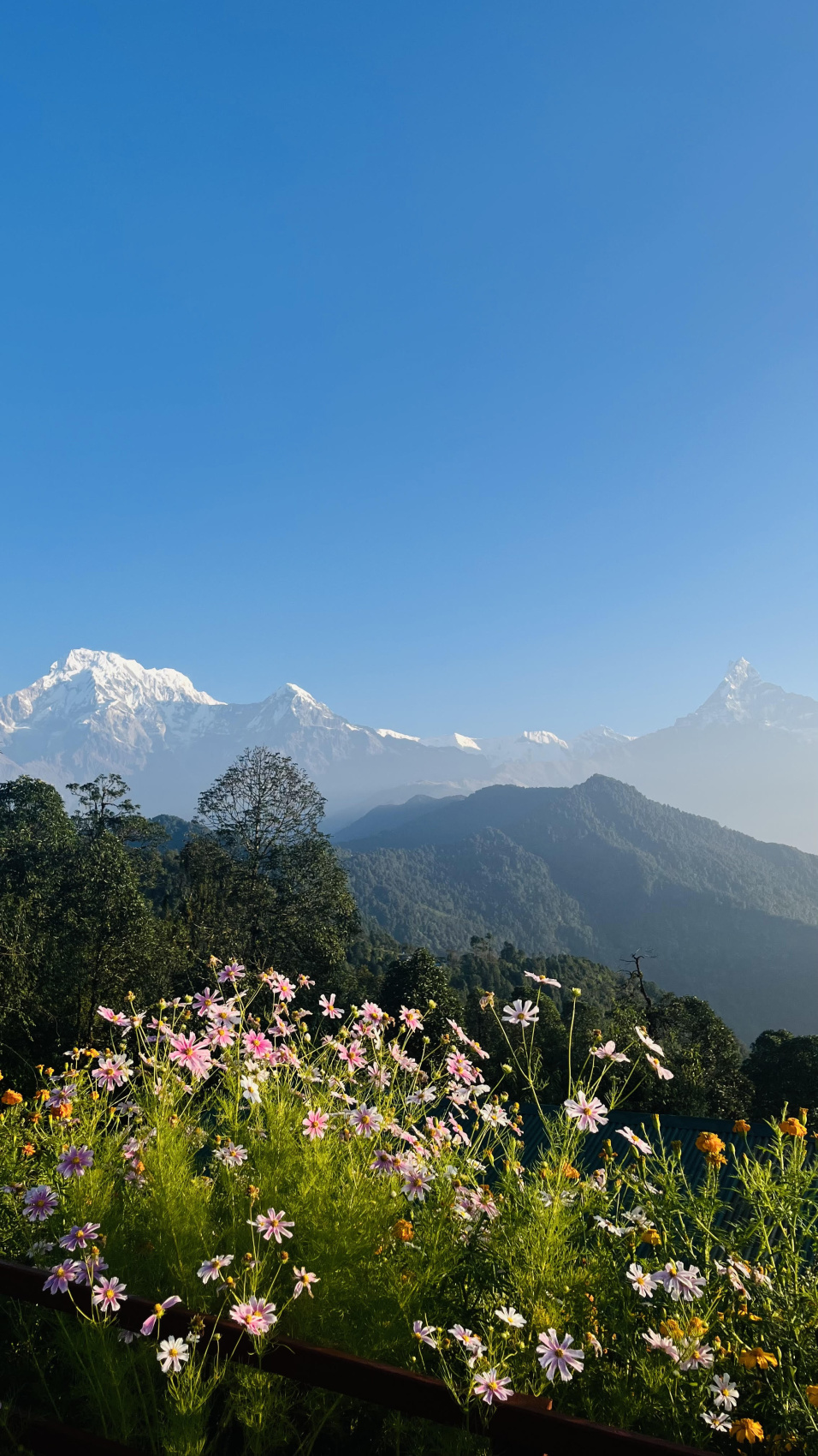 Непал - Экскурсия + 5 дней трек в горы (6/7)