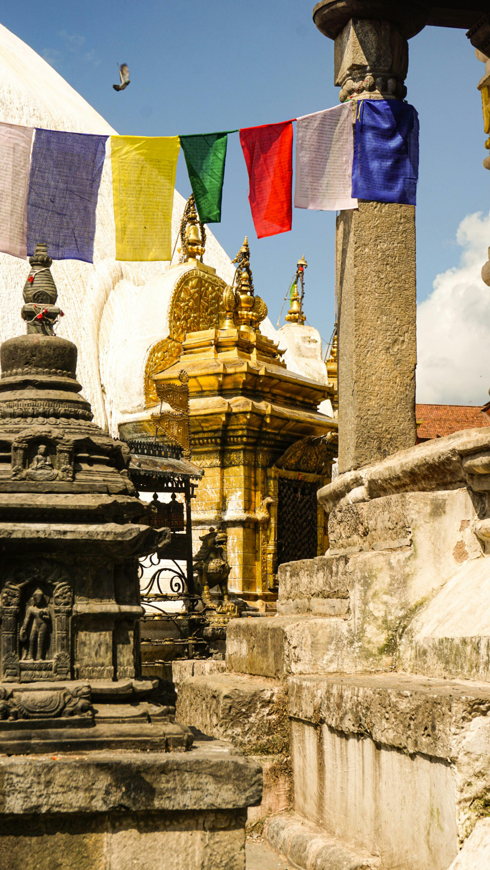 Непал - Экскурсия + 5 дней трек в горы (4/7)