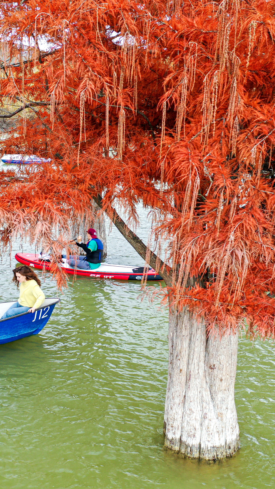 Красные кипарисы, винодельни и Адыгея (3/19)