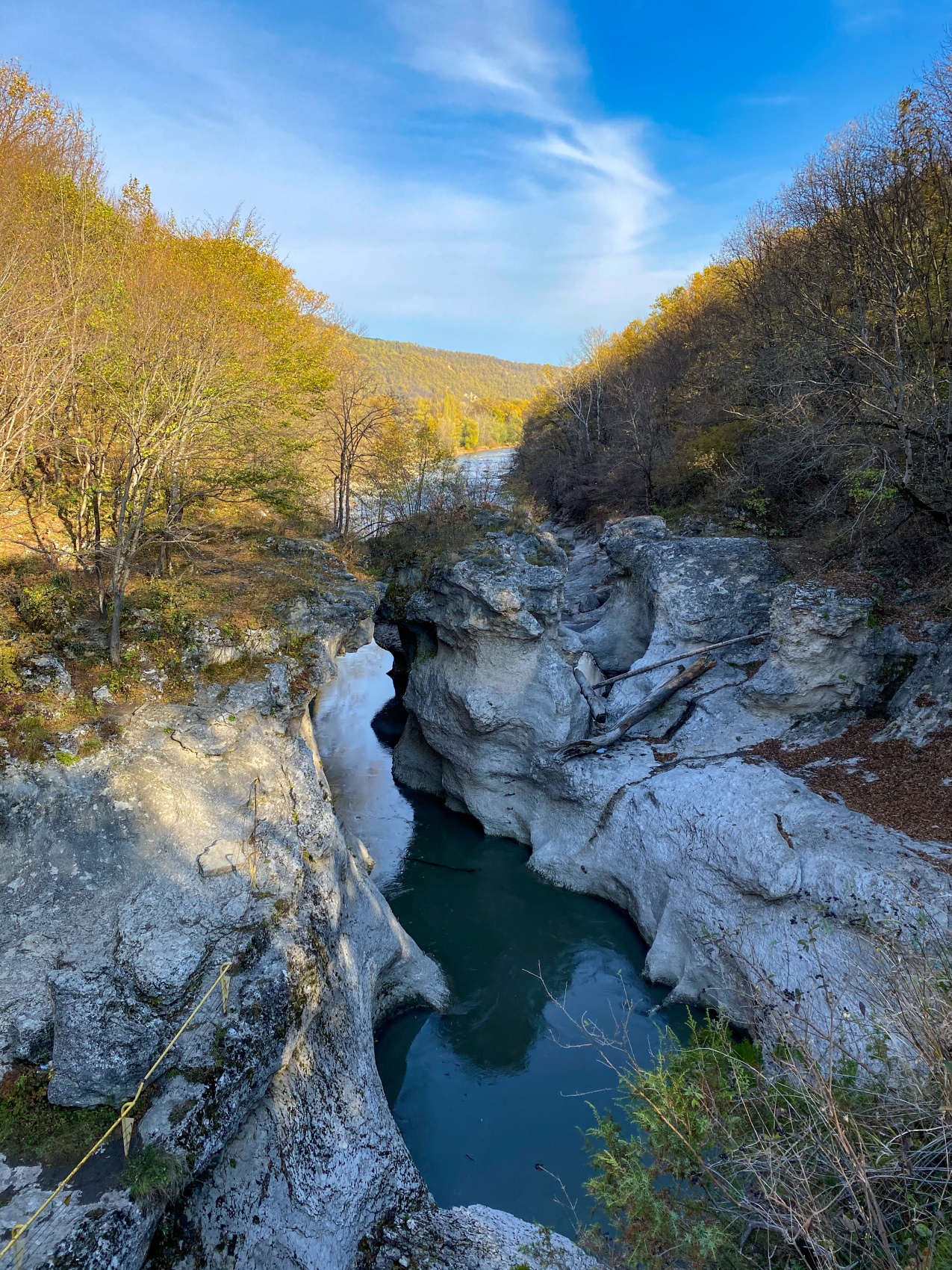 Лаванда, болотные кипарисы, винодельни Краснодарского края и Адыгея (2/9)