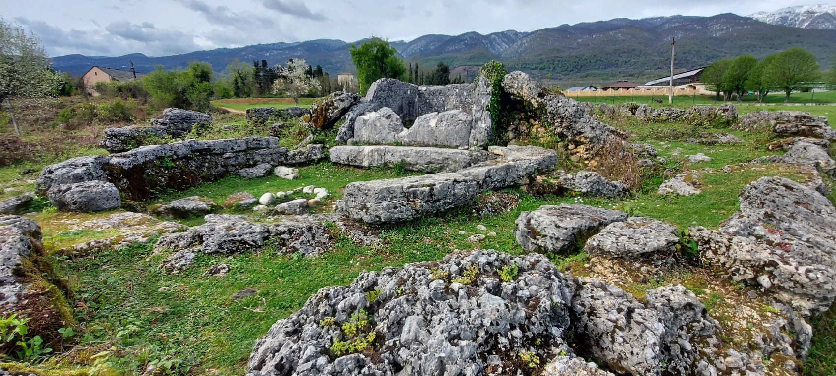 Разнообразная Абхазия ! 3 дня (18/36)