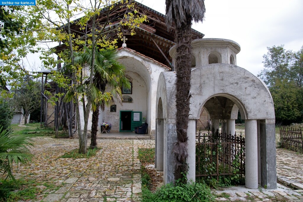 Разнообразная Абхазия ! 3 дня (19/36)