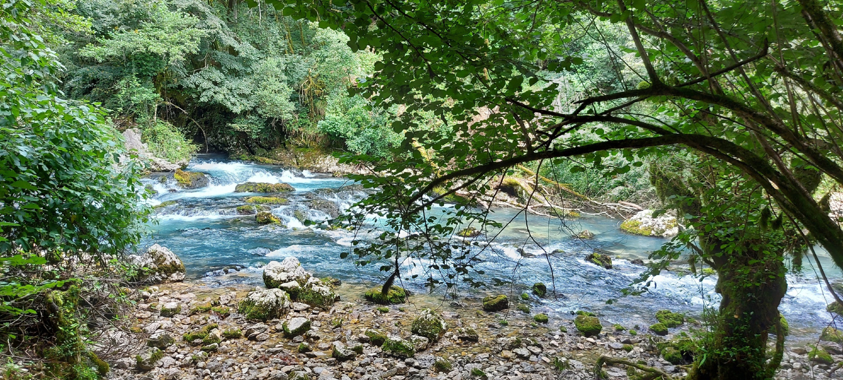 Разнообразная Абхазия ! 3 дня (12/36)