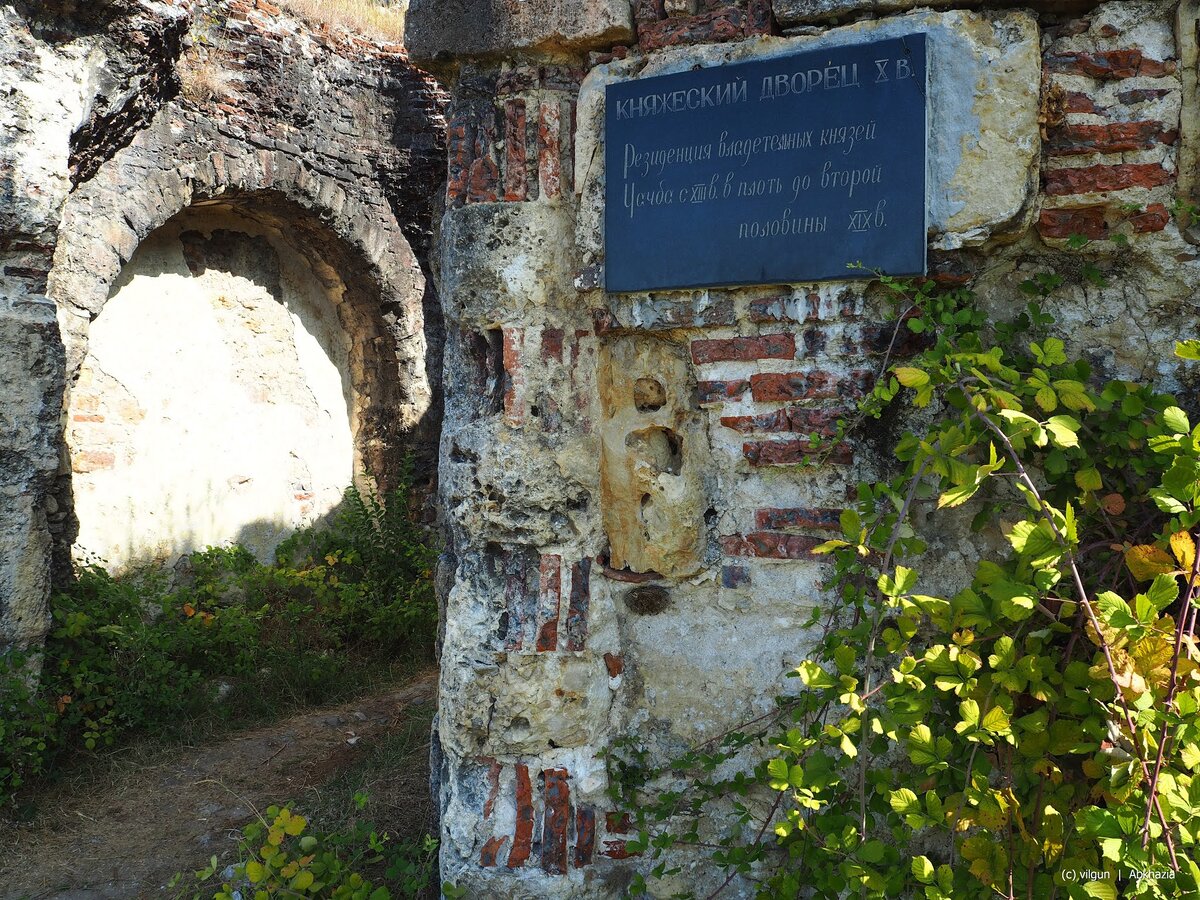 Разнообразная Абхазия ! 3 дня (16/36)