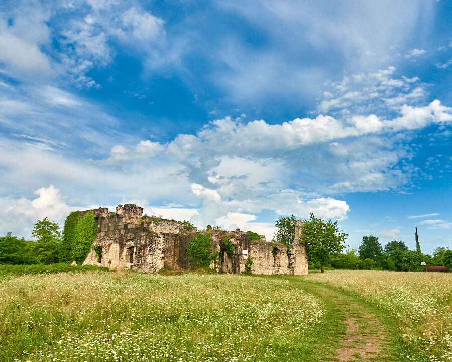 Разнообразная Абхазия ! 3 дня (17/36)