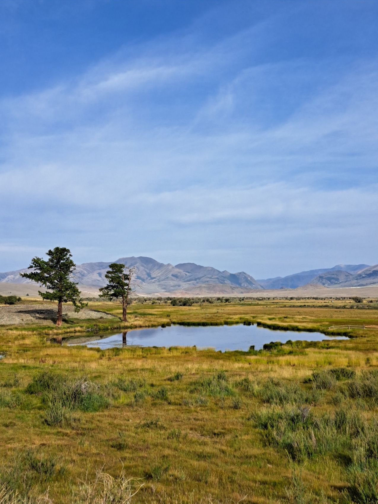 Тур на Алтай. Горы, ледники, озёра с комфортом (5/44)