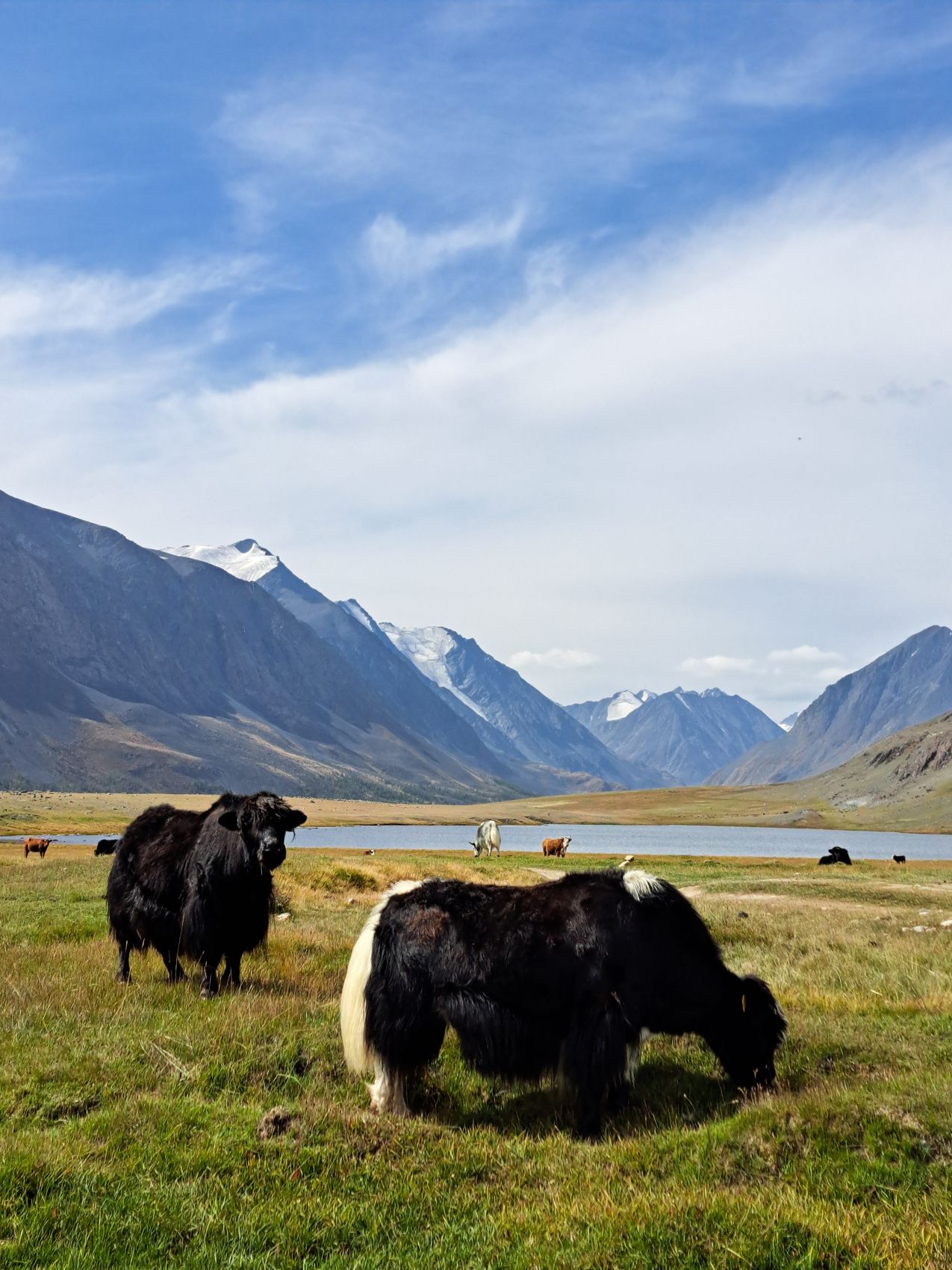 Тур на Алтай. Горы, ледники, озёра с комфортом (16/44)