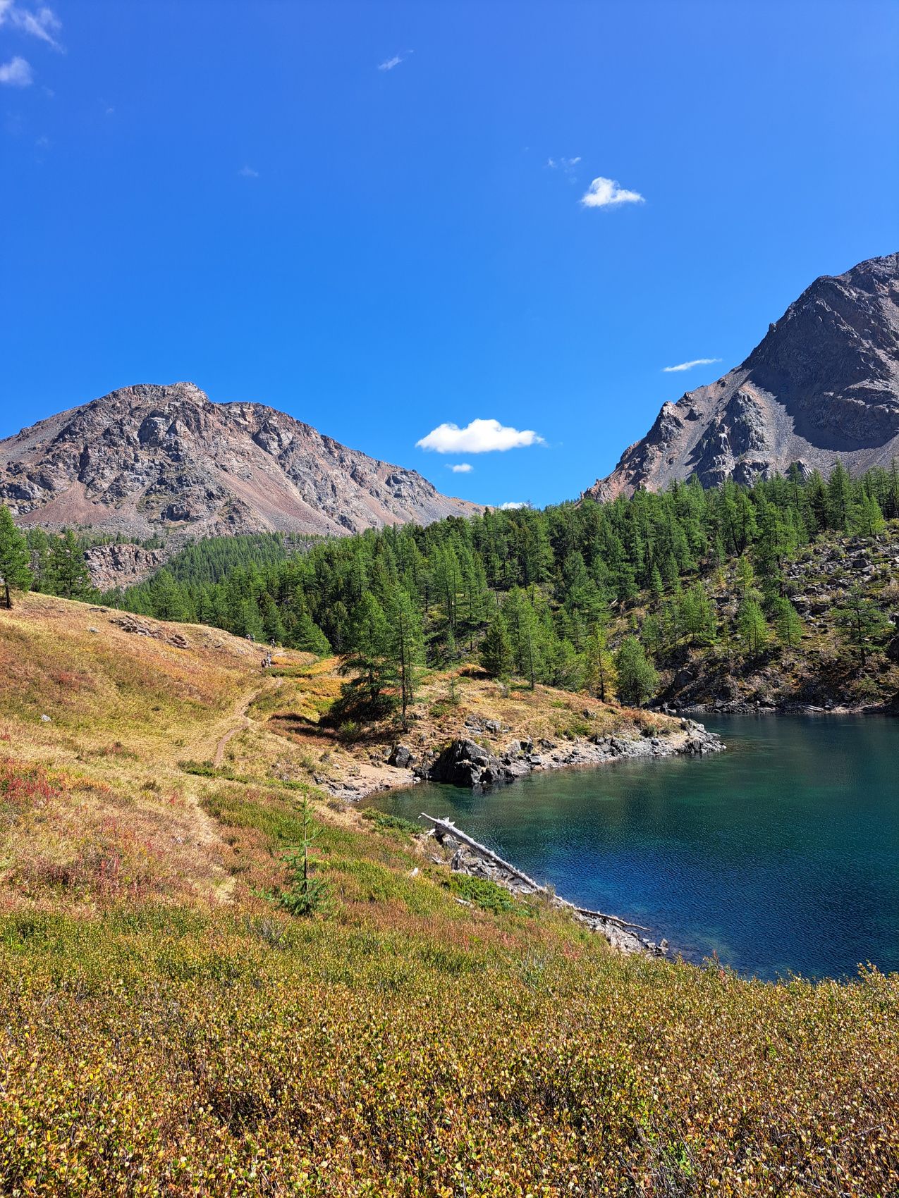 Тур на Алтай. Горы, ледники, озёра с комфортом (9/44)